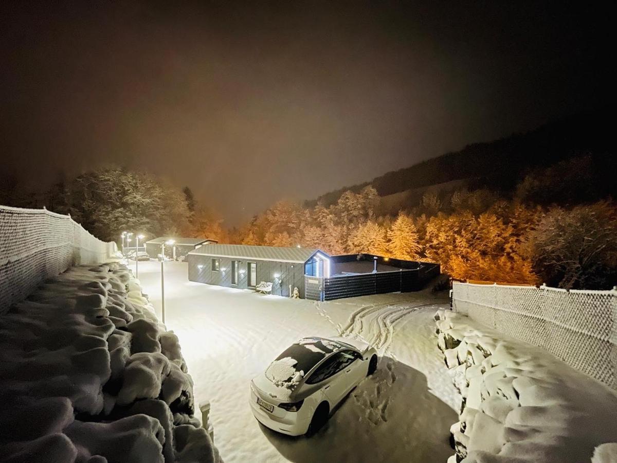 Voralpen Lodge - Ferienhaus Mit Gym & Wellnessbereich Traisen Exteriér fotografie